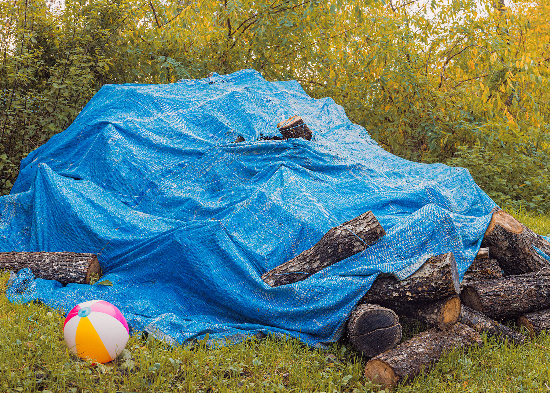 Buried in Blue - A large pile of firewood covered with a worn blue tarp, partially revealing logs underneath, set against a backdrop of dense green and yellow foliage. A colorful beach ball rests on the grassy ground nearby.